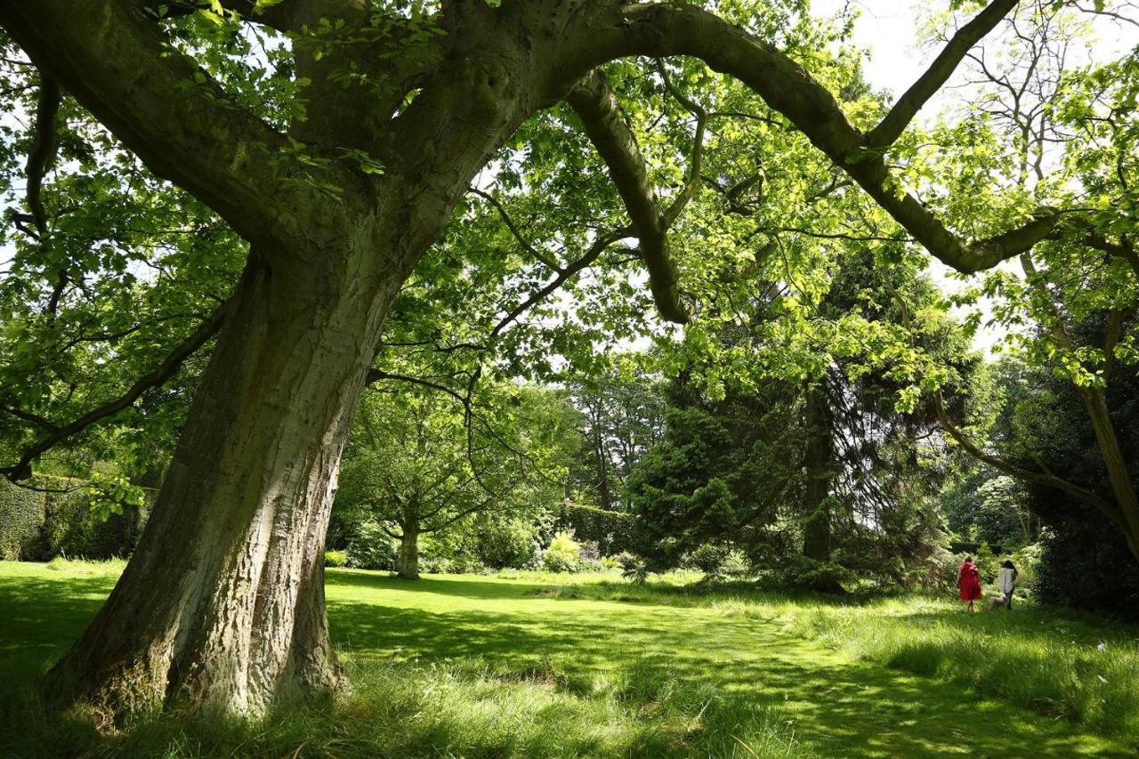 Middlethorpe Hall & 4* York